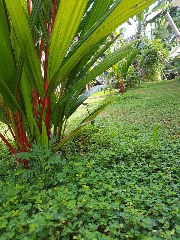 South Heaven Villa Хіккадува Екстер'єр фото